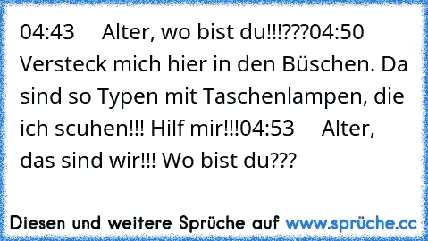 04:43     Alter, wo bist du!!!???
04:50     Versteck mich hier in den Büschen. Da sind so Typen mit Taschenlampen, die ich scuhen!!! Hilf mir!!!
04:53     Alter, das sind wir!!! Wo bist du???