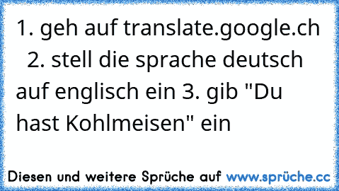 1. geh auf translate.google.ch   2. stell die sprache deutsch auf englisch ein 3. gib "Du hast Kohlmeisen" ein