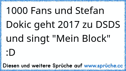 1000 Fans und Stefan Dokic geht 2017 zu DSDS und singt "Mein Block" :D