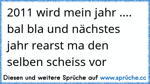 2011 wird mein jahr .... bal bla und nächstes jahr rearst ma den selben scheiss vor