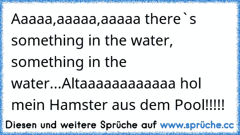 Aaaaa,aaaaa,aaaaa there`s something in the water, something in the water...
Altaaaaaaaaaaaa hol mein Hamster aus dem Pool!!!!!