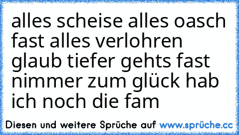 alles scheise alles oasch fast alles verlohren glaub tiefer gehts fast nimmer zum glück hab ich noch die fam