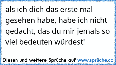 als ich dich das erste mal gesehen habe, habe ich nicht gedacht, das du mir jemals so viel bedeuten würdest! 
♥