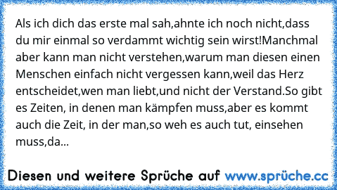 Als ich dich das erste mal sah,
ahnte ich noch nicht,
dass du mir einmal so verdammt wichtig sein wirst!
Manchmal aber kann man nicht verstehen,
warum man diesen einen Menschen einfach nicht vergessen kann,
weil das Herz entscheidet,
wen man liebt,
und nicht der Verstand.
So gibt es Zeiten, in denen man kämpfen muss,
aber es kommt auch die Zeit, in der man,
so weh es auch tut, einsehen muss,
dass ...