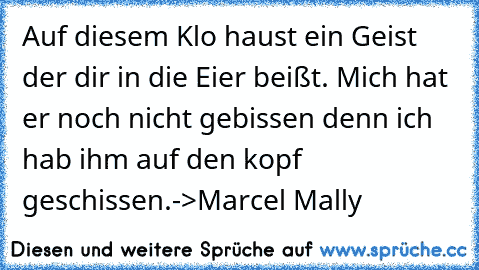 Auf diesem Klo haust ein Geist der dir in die Eier beißt. Mich hat er noch nicht gebissen denn ich hab ihm auf den kopf geschissen.
->Marcel Mally