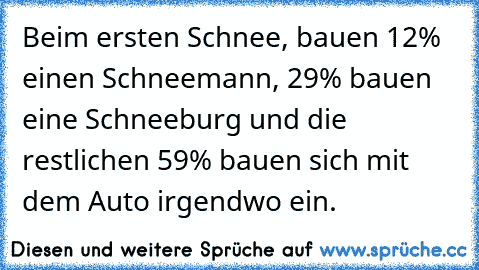 Beim ersten Schnee, bauen 12% einen Schneemann, 29% bauen eine Schneeburg und die restlichen 59% bauen sich mit dem Auto irgendwo ein.