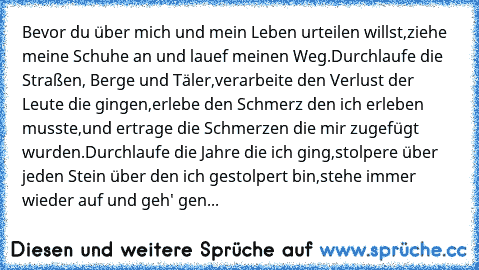 Bevor du über mich und mein Leben urteilen willst,
ziehe meine Schuhe an und lauef meinen Weg.
Durchlaufe die Straßen, Berge und Täler,
verarbeite den Verlust der Leute die gingen,
erlebe den Schmerz den ich erleben musste,
und ertrage die Schmerzen die mir zugefügt wurden.
Durchlaufe die Jahre die ich ging,
stolpere über jeden Stein über den ich gestolpert bin,
stehe immer wieder auf und geh' ...