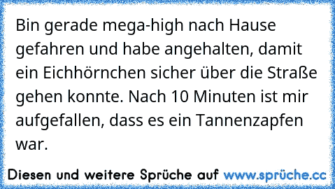 Bin gerade mega-high nach Hause gefahren und habe angehalten, damit ein Eichhörnchen sicher über die Straße gehen konnte. Nach 10 Minuten ist mir aufgefallen, dass es ein Tannenzapfen war.