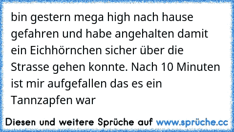 bin gestern mega high nach hause gefahren und habe angehalten damit ein Eichhörnchen sicher über die Strasse gehen konnte. Nach 10 Minuten ist mir aufgefallen das es ein Tannzapfen war