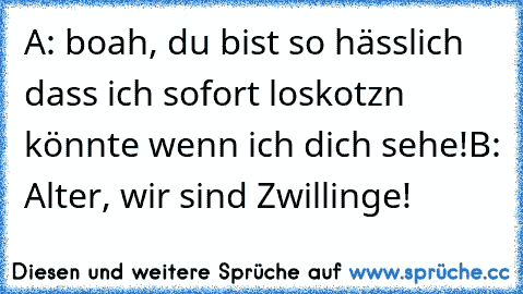 A: boah, du bist so hässlich dass ich sofort loskotzn könnte wenn ich dich sehe!
B: Alter, wir sind Zwillinge!