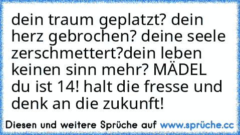 dein traum geplatzt? dein herz gebrochen? deine seele zerschmettert?dein leben keinen sinn mehr? 
MÄDEL du ist 14! halt die fresse und denk an die zukunft!