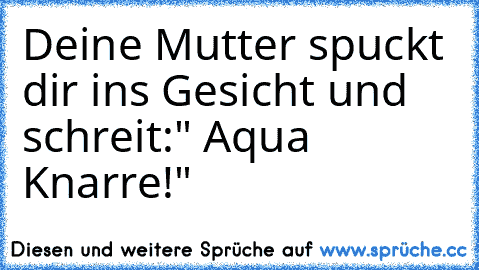 Deine Mutter spuckt dir ins Gesicht und schreit:" Aqua Knarre!"