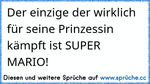 Der einzige der wirklich für seine Prinzessin kämpft ist SUPER MARIO!