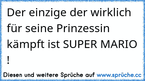 Der einzige der wirklich für seine Prinzessin kämpft ist SUPER MARIO !