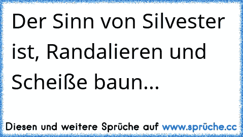 Der Sinn von Silvester ist, Randalieren und Scheiße baun...