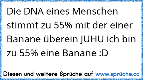 Die DNA eines Menschen stimmt zu 55% mit der einer Banane überein 
JUHU ich bin zu 55% eine Banane :D