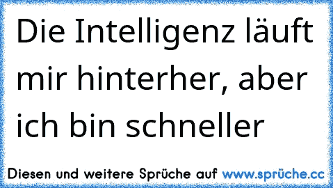 Die Intelligenz läuft mir hinterher, aber ich bin schneller