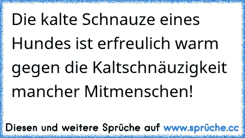 Die kalte Schnauze eines Hundes ist erfreulich warm gegen die Kaltschnäuzigkeit mancher Mitmenschen!