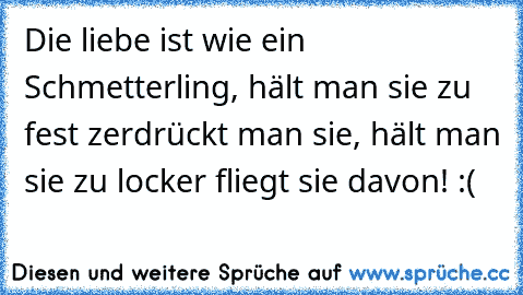 Die liebe ist wie ein Schmetterling, hält man sie zu fest zerdrückt man sie, hält man sie zu locker fliegt sie davon! :( ♥