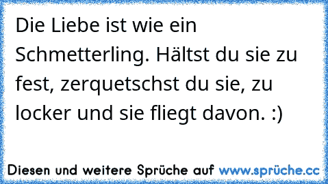 Die Liebe ist wie ein Schmetterling. Hältst du sie zu fest, zerquetschst du sie, zu locker und sie fliegt davon. :) ♥