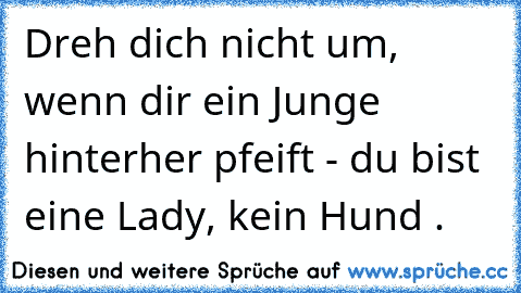 Dreh dich nicht um, wenn dir ein Junge hinterher pfeift - du bist eine Lady, kein Hund .