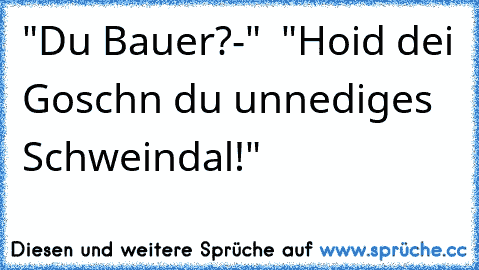 "Du Bauer?-"  "Hoid dei Goschn du unnediges Schweindal!"