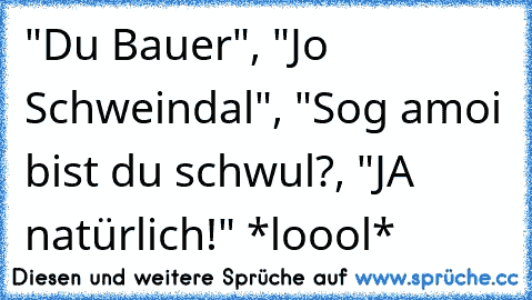 "Du Bauer", "Jo Schweindal", "Sog amoi bist du schwul?, "JA natürlich!" *loool*