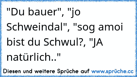 "Du bauer", "jo Schweindal", "sog amoi bist du Schwul?, "JA natürlich.."