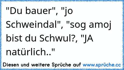 "Du bauer", "jo Schweindal", "sog amoj bist du Schwul?, "JA natürlich.."