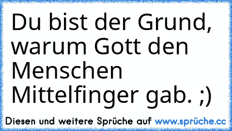 Du bist der Grund, warum Gott den Menschen Mittelfinger gab. ;)