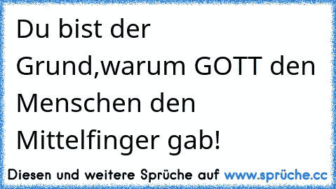 Du bist der Grund,
warum GOTT den Menschen den Mittelfinger gab!