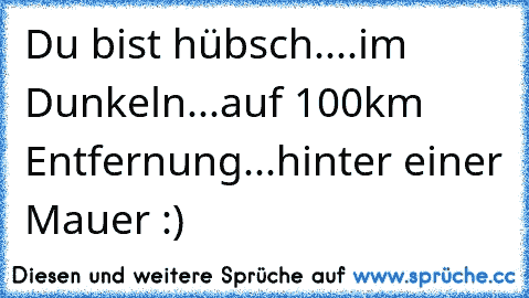 Du bist hübsch....im Dunkeln...auf 100km Entfernung...hinter einer Mauer :)