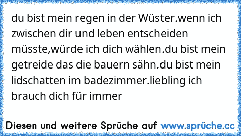 du bist mein regen in der Wüster.
wenn ich zwischen dir und leben entscheiden müsste,
würde ich dich wählen.
du bist mein getreide das die bauern sähn.
du bist mein lidschatten im badezimmer.
liebling ich brauch dich für immer