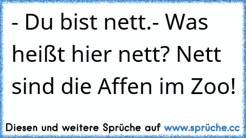 - Du bist nett.
- Was heißt hier nett? Nett sind die Affen im Zoo!