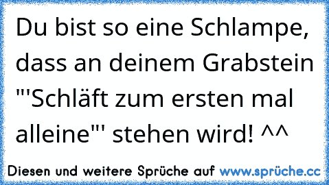 Du bist so eine Schlampe, dass an deinem Grabstein "'Schläft zum ersten mal alleine"' stehen wird! ^^