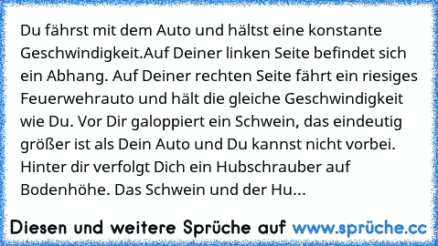 Du fährst mit dem Auto und hältst eine konstante Geschwindigkeit.
Auf Deiner linken Seite befindet sich ein Abhang. Auf Deiner rechten Seite fährt ein riesiges Feuerwehrauto und hält die gleiche Geschwindigkeit wie Du. Vor Dir galoppiert ein Schwein, das eindeutig größer ist als Dein Auto und Du kannst nicht vorbei. Hinter dir verfolgt Dich ein Hubschrauber auf Bodenhöhe. Das Schwein und der Hu...