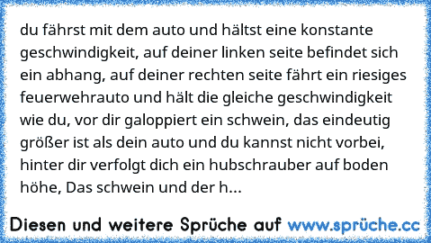 du fährst mit dem auto und hältst eine konstante geschwindigkeit, auf deiner linken seite befindet sich ein abhang, auf deiner rechten seite fährt ein riesiges feuerwehrauto und hält die gleiche geschwindigkeit wie du, vor dir galoppiert ein schwein, das eindeutig größer ist als dein auto und du kannst nicht vorbei, hinter dir verfolgt dich ein hubschrauber auf boden höhe, Das schwein und der h...