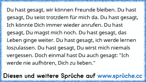 Du hast gesagt, wir können Freunde bleiben. Du hast gesagt, Du seist trotzdem für mich da. Du hast gesagt, Ich könnte Dich immer wieder anrufen. Du hast gesagt, Du magst mich noch. Du hast gesagt, das Leben ginge weiter. Du hast gesagt, ich werde lernen loszulassen. Du hast gesagt, Du wirst mich niemals vergessen. Doch einmal hast Du auch gesagt: "Ich werde nie aufhören, Dich zu lieben."