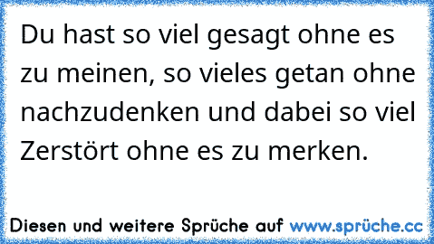 Du hast so viel gesagt ohne es zu meinen, so vieles getan ohne nachzudenken und dabei so viel Zerstört ohne es zu merken.