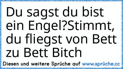 Du sagst du bist ein Engel?
Stimmt, du fliegst von Bett zu Bett Bitch