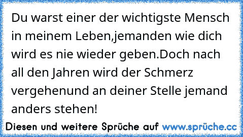 Du warst einer der wichtigste Mensch in meinem Leben,
jemanden wie dich wird es nie wieder geben.
Doch nach all den Jahren wird der Schmerz vergehen
und an deiner Stelle jemand anders stehen!