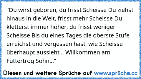 "Du wirst geboren, du frisst Scheisse Du ziehst hinaus in die Welt, frisst mehr Scheisse Du kletterst immer höher, du frisst weniger Scheisse Bis du eines Tages die oberste Stufe erreichst und vergessen hast, wie Scheisse überhaupt aussieht .. Willkommen am Futtertrog Sohn..."