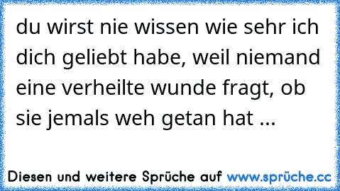 du wirst nie wissen wie sehr ich dich geliebt habe, weil niemand eine verheilte wunde fragt, ob sie jemals weh getan hat ...