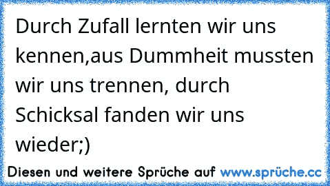 Durch Zufall lernten wir uns kennen,aus Dummheit mussten wir uns trennen, durch Schicksal fanden wir uns wieder;)