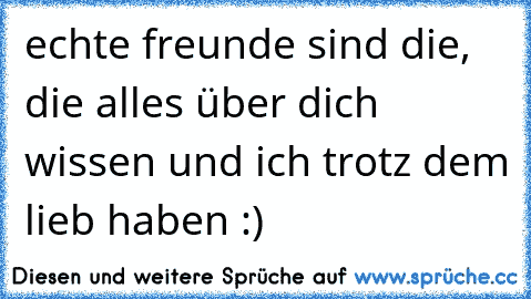 echte freunde sind die, die alles über dich wissen und ich trotz dem lieb haben :)