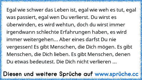 Egal wie schwer das Leben ist, egal wie weh es tut, egal was passiert, egal wen Du verlierst. Du wirst es überwinden, es wird wehtun, doch du wirst immer irgendwann schlechte Erfahrungen haben, es wird immer weitergehen... Aber eines darfst Du nie vergessen! Es gibt Menschen, die Dich mögen. Es gibt Menschen, die Dich lieben. Es gibt Menschen, denen Du etwas bedeutest. Die Dich nicht verlieren ...