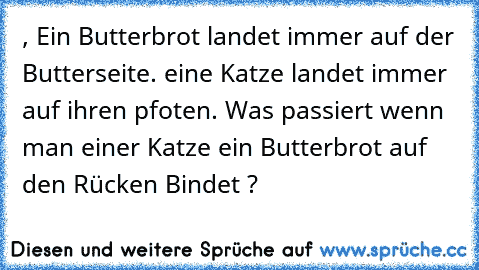 , Ein Butterbrot landet immer auf der Butterseite. eine Katze landet immer auf ihren pfoten. Was passiert wenn man einer Katze ein Butterbrot auf den Rücken Bindet ?