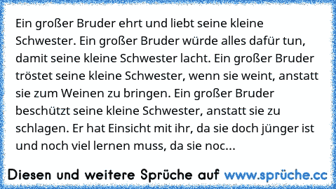 Ein großer Bruder ehrt und liebt seine kleine Schwester. Ein großer Bruder würde alles dafür tun, damit seine kleine Schwester lacht. Ein großer Bruder tröstet seine kleine Schwester, wenn sie weint, anstatt sie zum Weinen zu bringen. Ein großer Bruder beschützt seine kleine Schwester, anstatt sie zu schlagen. Er hat Einsicht mit ihr, da sie doch jünger ist und noch viel lernen muss, da sie noc...