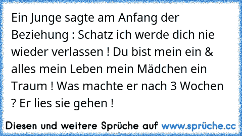 Ein Junge sagte am Anfang der Beziehung : Schatz ich werde dich nie wieder verlassen ! Du bist mein ein & alles mein Leben mein Mädchen ein Traum ! Was machte er nach 3 Wochen ? Er lies sie gehen !