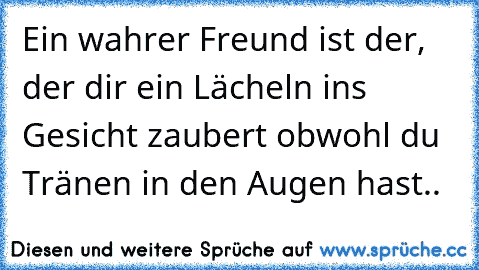 Ein wahrer Freund ist der, der dir ein Lächeln ins Gesicht zaubert obwohl du Tränen in den Augen hast.. ♥